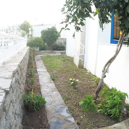 Seray فيلة غومْبيت